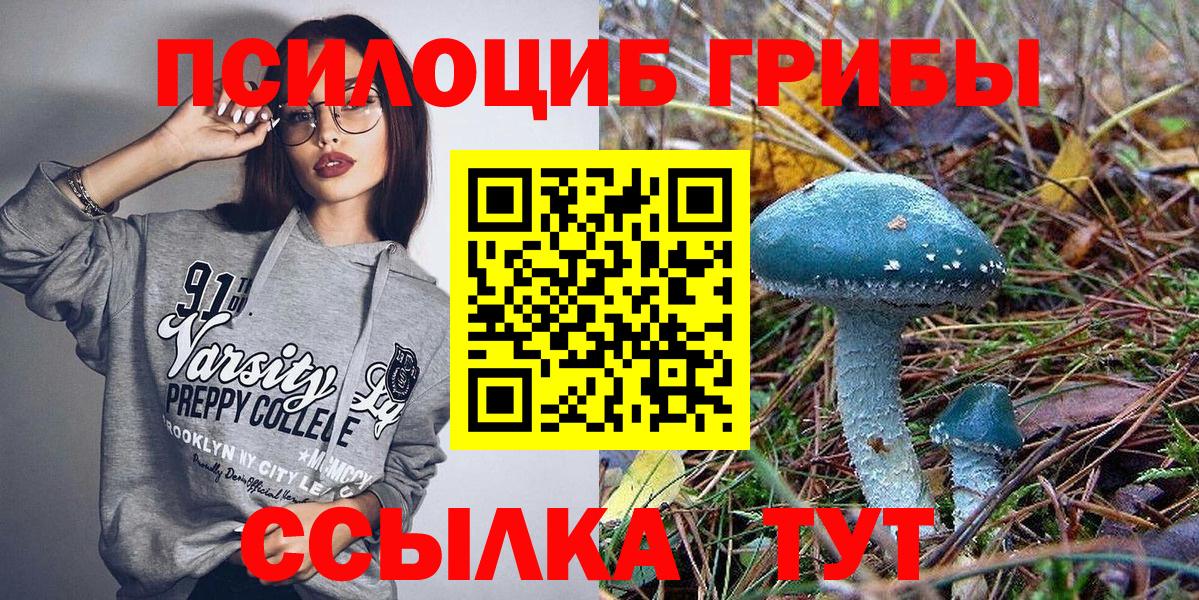 Псилоцибиновые грибы мицелий Ялуторовск