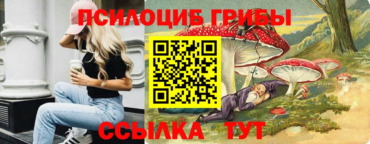 Ялуторовск  Псилоцибиновые грибы Psilocybine cubensis  Вход с VPN 